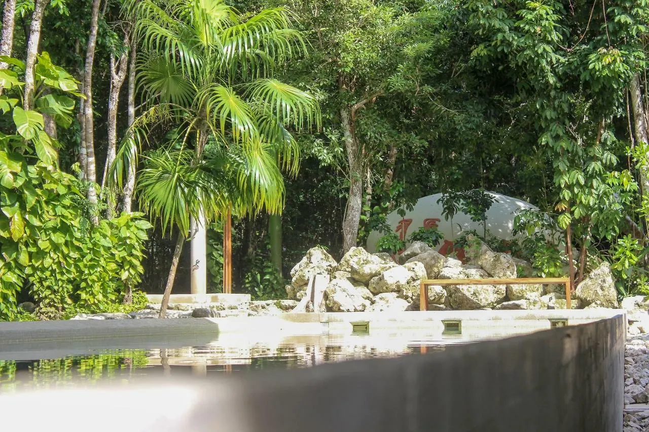 Exclusive 1 Bedroom Loft With Pool Facilites, High-Speed Internet And Free Parking In Akumal Apartman